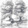 Евгения Сандакова. «Деревня» Евгения Сандакова. «Деревня»